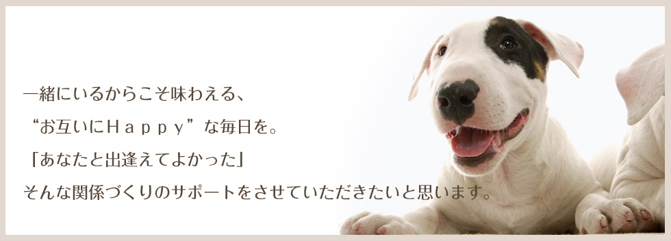 Dogs Lakku | 犬のしつけ等でお困りの方　出張ドッグトレーナーまでご相談下さい！京都・大阪・神戸